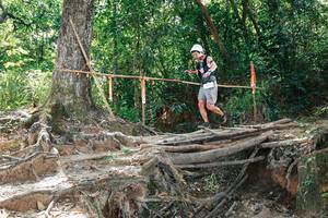 BIB: 
                            <button type="button" onclick="openModal(27801592)" class="btn btn-primary btn-sm float-right btn-popup" data-toggle="modal" data-target=".modal-high-quality">
                        <i class="fas fa-shopping-cart"></i> Add to Cart
                    </button>
                                            <button type="button" onclick="isThisMe(27801592, true)" class="btn btn-success btn-sm float-right btn-popup btn-isme hidden" data-toggle="tooltip" data-placement="bottom" title="นี่คือรูปของคุณใช่ไหม คลิกที่นี่เพื่อเอาเข้าอัลบั้ม">
                        <i class="fas fa-plus"></i> Add to album
                    </button>
                    <button type="button" onclick="isThisMe(27801592, false)" class="btn btn-warning btn-sm float-right btn-popup btn-isnotme hidden">
                        <i class="fas fa-ban"></i> Remove from album
                    </button>